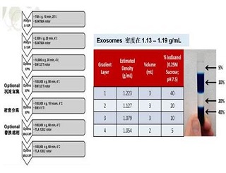 Exosome：功能那么強，提取并不難